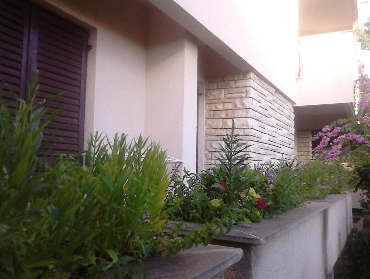 Apartments With A Parking Space Zadar - Diklo, Zadar - 13327 מראה חיצוני תמונה
